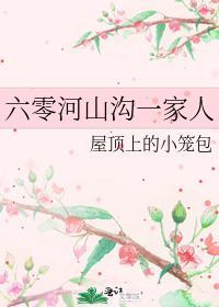 六零河山沟一家人番外