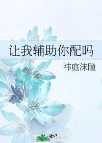 让我辅助你配吗全文txt