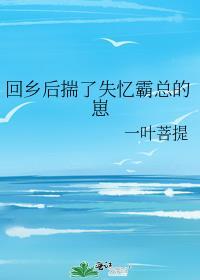 回乡后揣了失忆霸总的崽一叶菩提