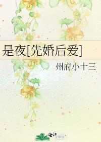 是夜先婚后爱州府十三晋江