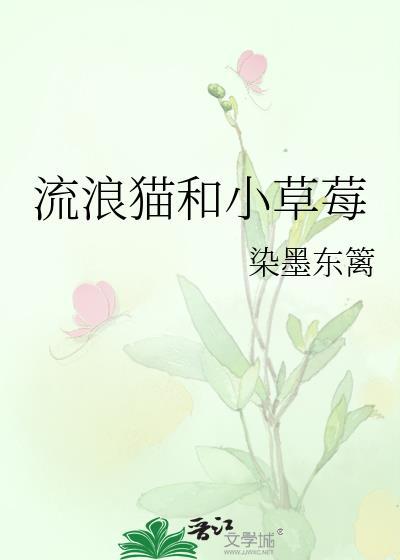 和流浪的小猫咪一起玩