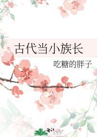 古代当小族长txt
