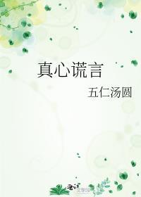真爱谎言剧情介绍电视连续剧全集