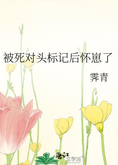 被死对头标记后怀崽了