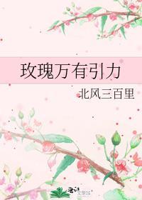 玫瑰万有引力
