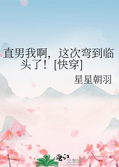 直男我啊，这次弯到临头了！[快穿]