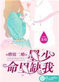 燃情二婚:墨少命里缺我