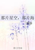 那片星空,那片海(网络版)