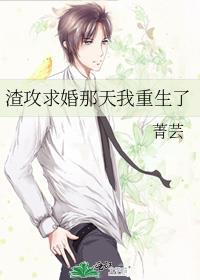 渣攻求婚那天我重生了