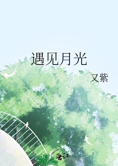 遇见月光