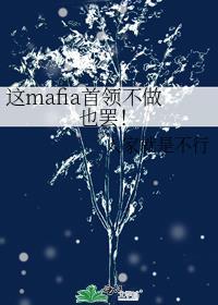 这mafia首领不做也罢!