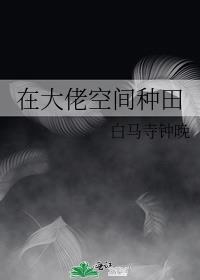 在大佬空间种田